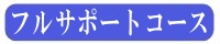 フルサポート